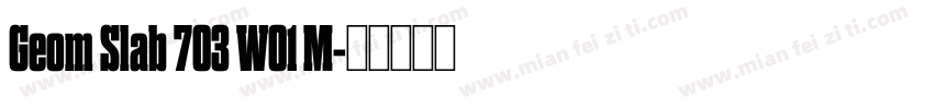 Geom Slab 703 W01 M字体转换